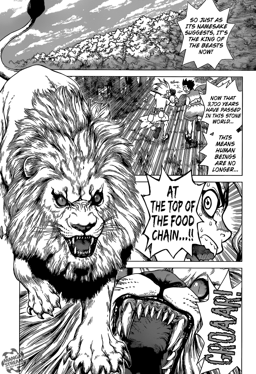 Dr. Stone Chapter 3 8